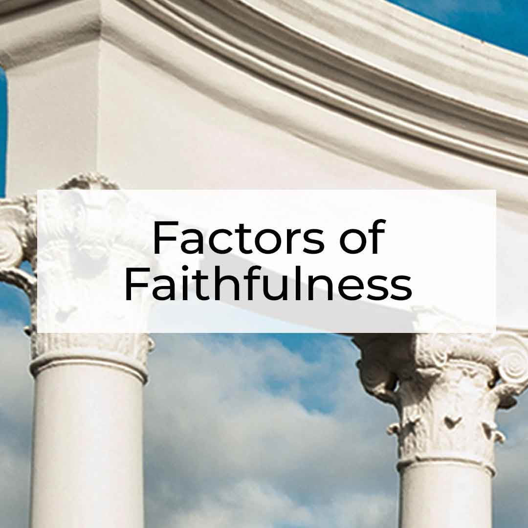 Factors of Faithfulness 1080x1080