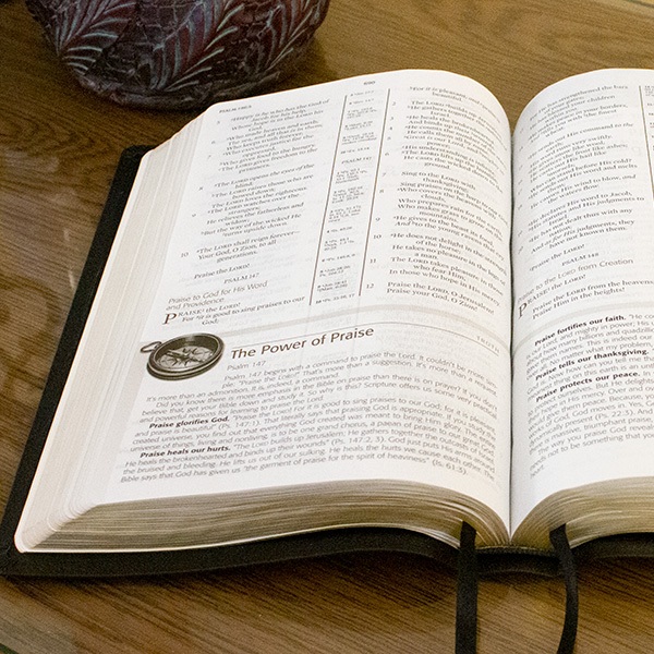 Adrian Rogers Legacy Bible: Different… | Love Worth Finding Ministries