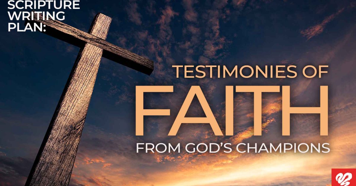 Testimonies Of Faith From Gods Love Worth Finding Ministries